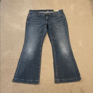 Gap Women's Blue Denim Long and Lean Jeans Size 8 Ankle (Good)